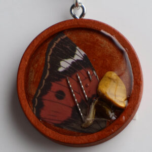 01-007 The Winged Oracle