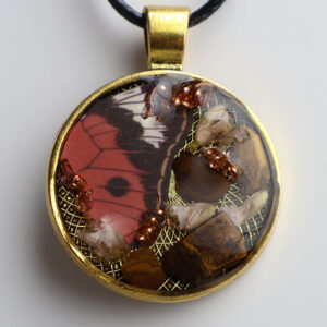 01-010  The Gilded Wing