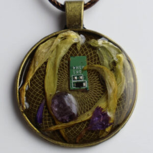 01-029 The Signal Bloom